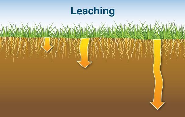 Nutrient Effect of Acid Deposition on soil Ca, K and Mg ions are leached or washed out of top soil.