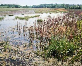 Natural Resource Protection Erosion and sediment control Wetlands