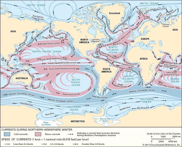 Oceans 2 types of ocean circulation: 1 surface (stimulated by winds and the Coriolis effect) 2 deep (result of cool water