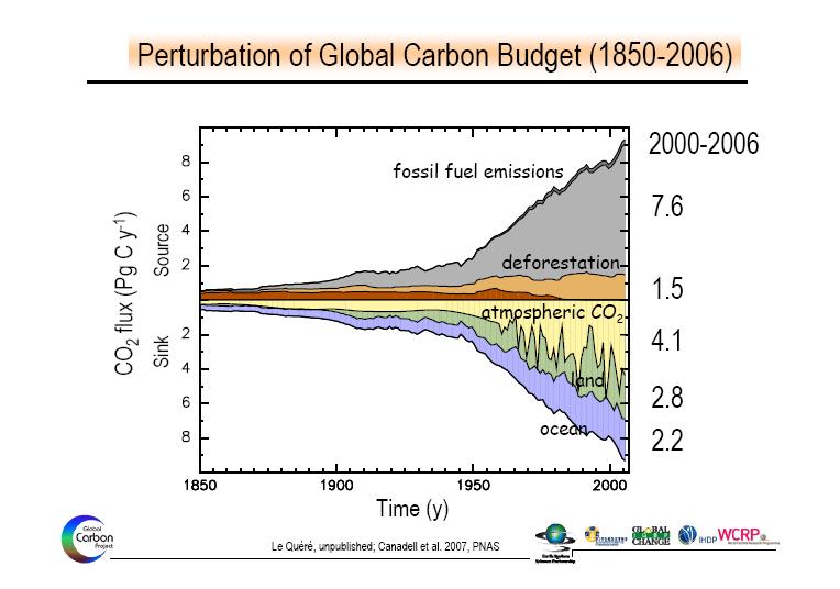 Global Carbon budget