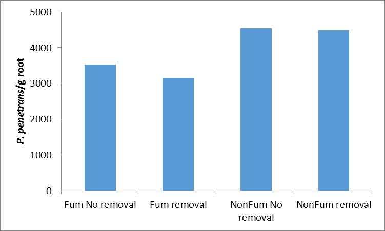 Root removal is not effective in reducing nematode populations Root removal did not reduce P.