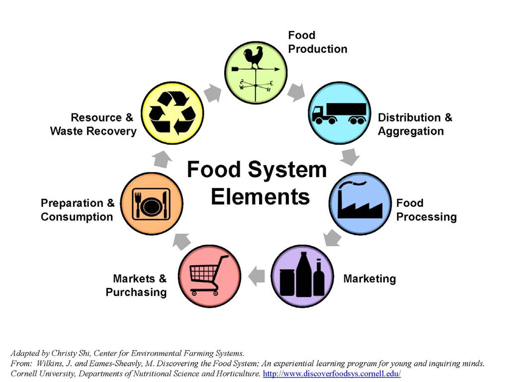 Our food systems A food system encompasses the ecosystems and all the activities required for the production, processing, transportation and consumption of food, including the inputs and outputs of