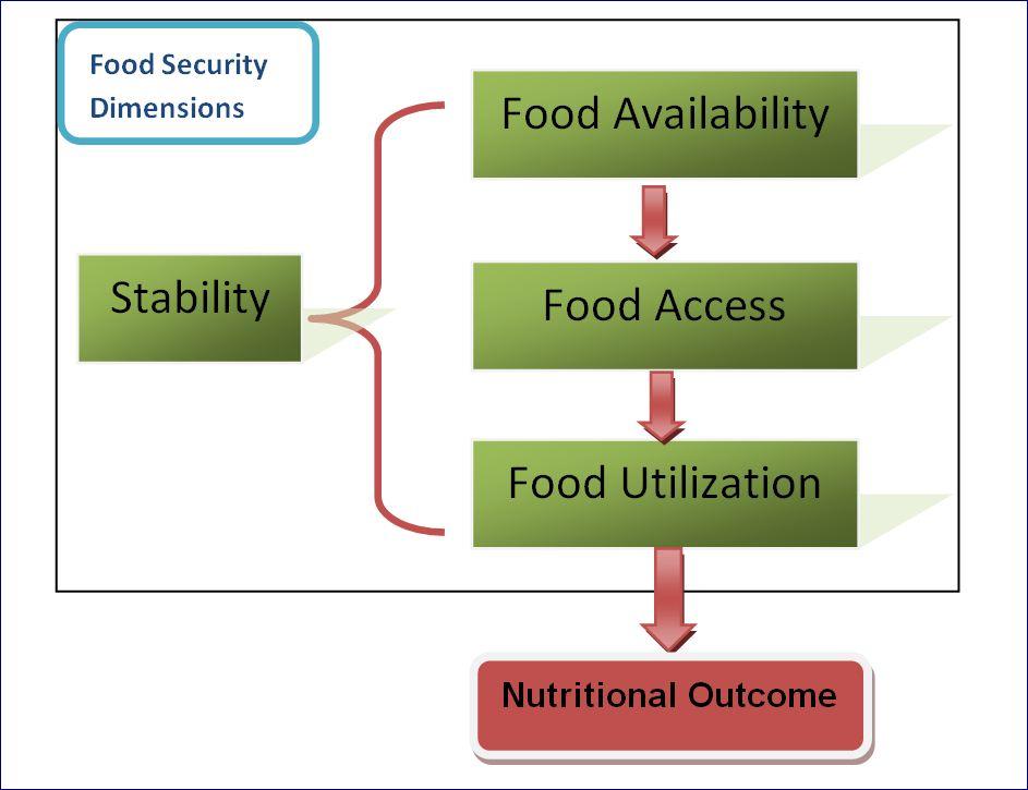 The dimensions of food security If food is available, accessible and useable, and if all of these are stable then food security is achieved.