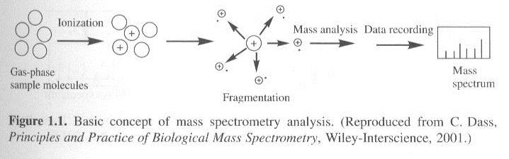 The basic principles in Mass spec analysis 1. Ionization: (high vacuum, electric field) To convert analyte molecules or atoms into gas-phase ionic species, even breaking the molecules into fragments.