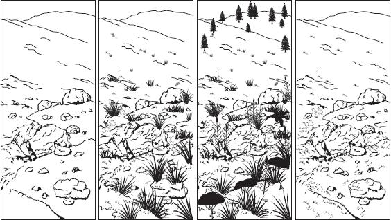 7. The panels show changes taking place in an ecosystem after a volcano erupts and covers an area with rock and ash.
