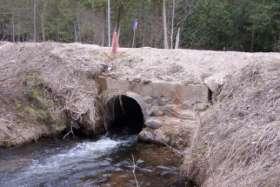 Streambank erosion and