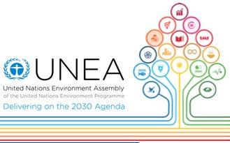 Two important documents: 1. The concept note on Delivering on the environmental dimension of the 2030 Agenda for Sustainable Development, and 2.