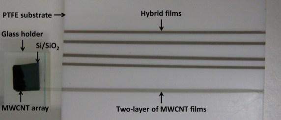 Fig. S2 Photograph of thin MWCNT film
