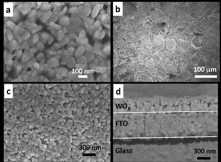 Figure S2. Scanning electron microscopy (SEM) images of the WO 3 films at different magnifications.