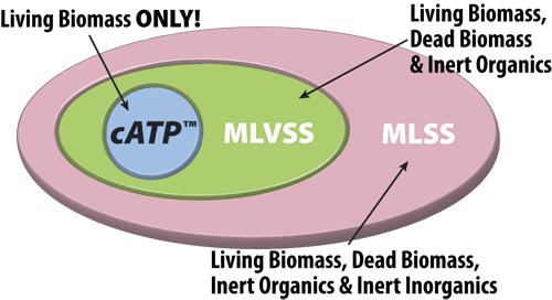 MLVSS It is assumed that the organic suspended material is largely made up of microbes.