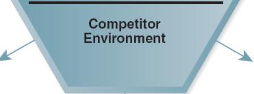 The External Environment: Competitor Environment