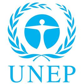 org UNEP is the leading global environmental authority that sets the environmental agenda and promotes the coherent implementation of the