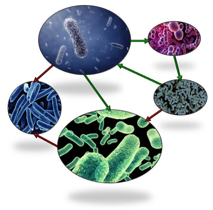 Novomeal: Microbial