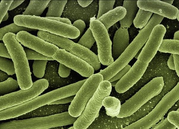Why CCU with Aerobic Bacteria?