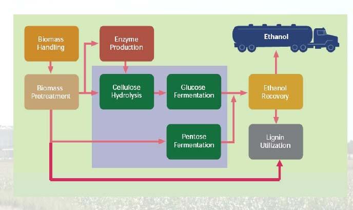 Bioethanol production technical route