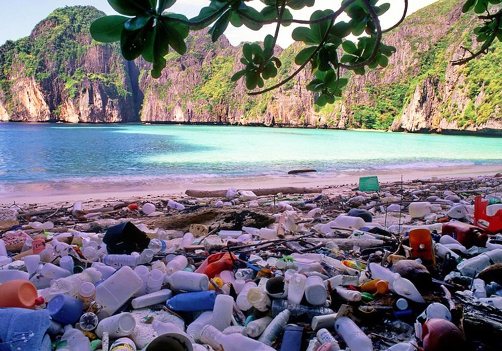 Negative environmental impacts of tourism Tourism can destroy the environmental resources on which it depends Depletion of natural resources Pollution,