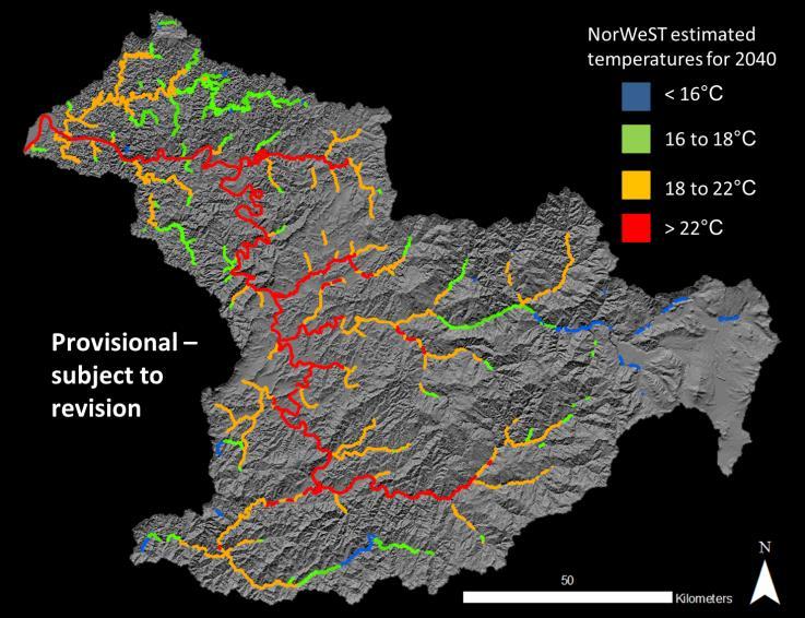 Actual or hypothetical: Actual Climate change projections for species: NorWeST climate projections indicate warming across stream networks within the Umpqua basin, with greater warming in inland