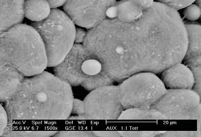 carried out in an environmental scanning electron microscope equipped with a hot stage.
