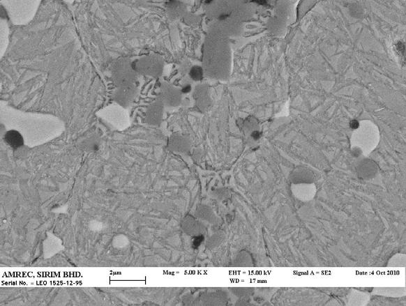 Figure 18: SEM micrograph at 5 kx of HSS samples sintered