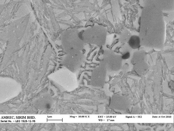 Figure 19: SEM micrograph at 10kx of HSS samples sintered at 1200 C austenitised at 1100 C and tempered at 500 C CONCLUSION Sintering behavior and mechanical properties of HSS were studied and