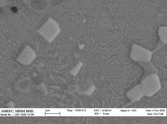 Figure 10: SEM micrograph of HSS