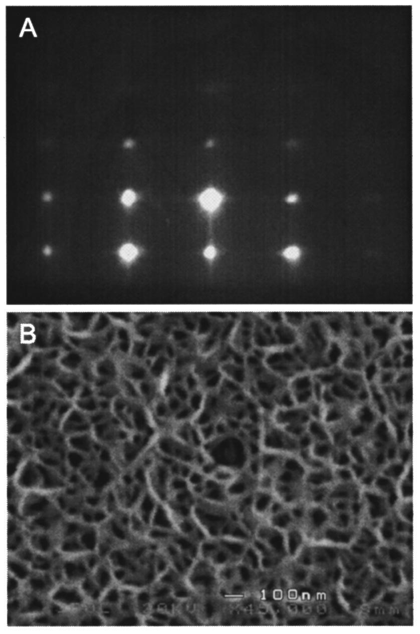 1243 Piquette et al.: Morphology, polarity, and lateral MBE growth of GaN 1243 plan view scan of a film grown with Ga/N flux ratio of 1:3 is shown in Fig. 2 B. A mesh-like morphology is observed.