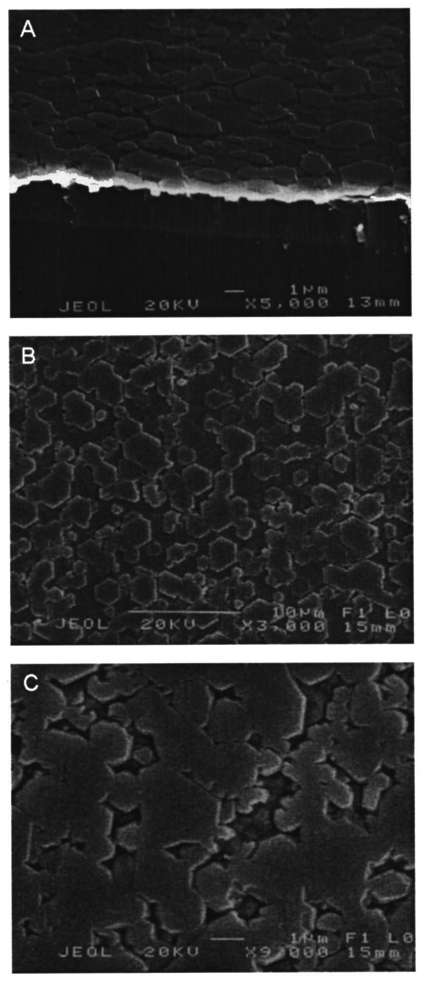 1244 Piquette et al.: Morphology, polarity, and lateral MBE growth of GaN 1244 FIG. 4. A Cross sectional SEM view of sample B.