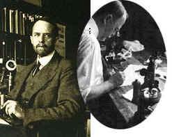 Developments in the 20th century 1933: Thomas Hunt Morgan wins the Nobel prize for demonstrating that chromosomes are the fundamental unit of inheritance.