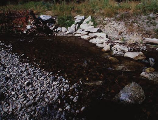 Streambank and Shoreline Protection (580) Conserva on Prac ce Standard Overview Streambank and Shoreline Protec on (580) Streambank and shoreline protection consists of applying vegetative or