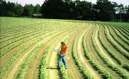 Contour Farming (330) Conservation Practice Standard Overview Contour Farming (330) Contour farming is using ridges and furrows formed by tillage, planting and other farming operations to change the