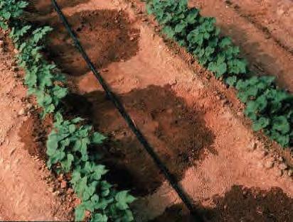 Irrigation System, Microirrigation (441) Conservation Practice Standard Overview Irrigation System, Microirrigation (441) A microirrigation system, also known as drip or trickle irrigation, is used