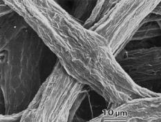 Effect of cellulose nano