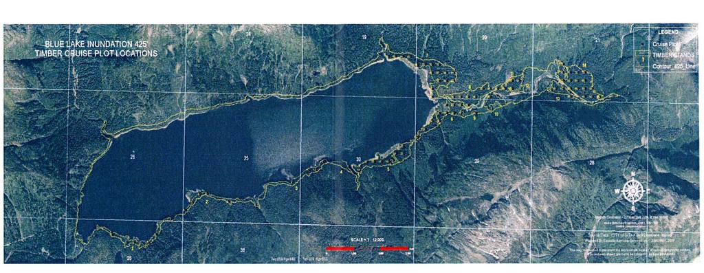 Map 1. Cruise plots for Blue Lake Expansion Timber Inventory Figure 2.