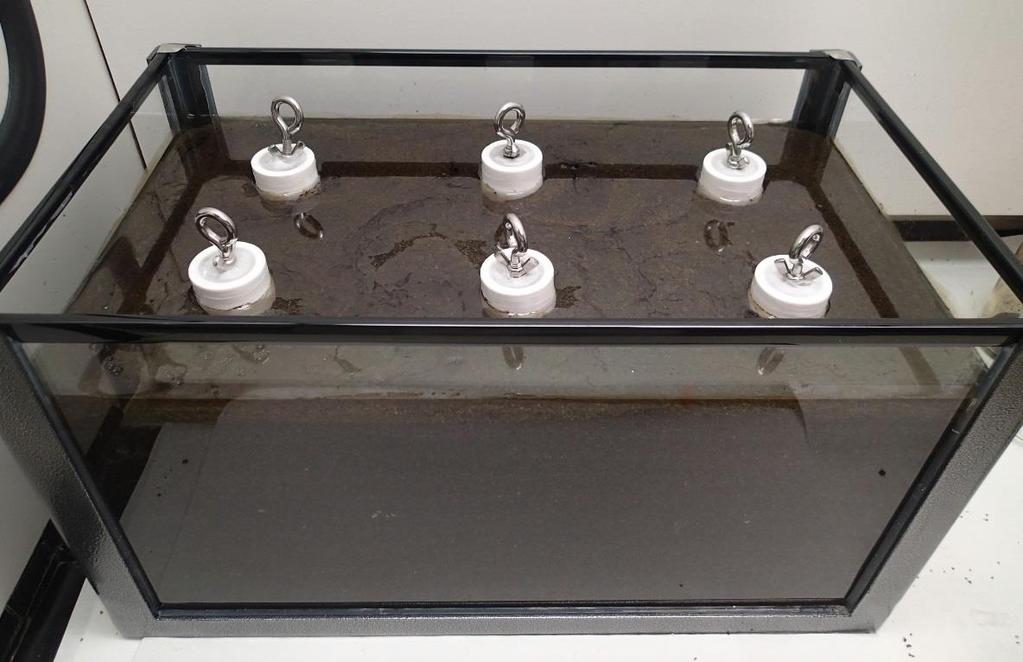 Porewater Sampling Tests with Diffusive Equilibration and Pumping (with NAPL) Aquarium with well-graded sand, 0.