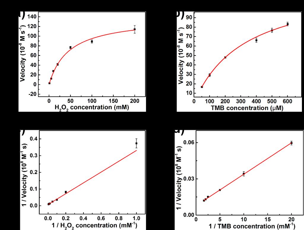 Supplementary Figure 8. The steady-state kinetics assays of Ir nanozyme. Plots of the velocity of the reaction versus different concentrations of H 2O 2 (a, 0.