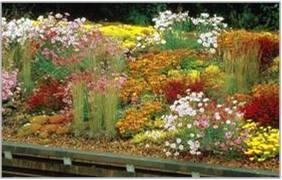 Extensive Green Roofs The cultivation of plants which are wind, frost, & drought resistant, which require very little maintenance and are self propagating.