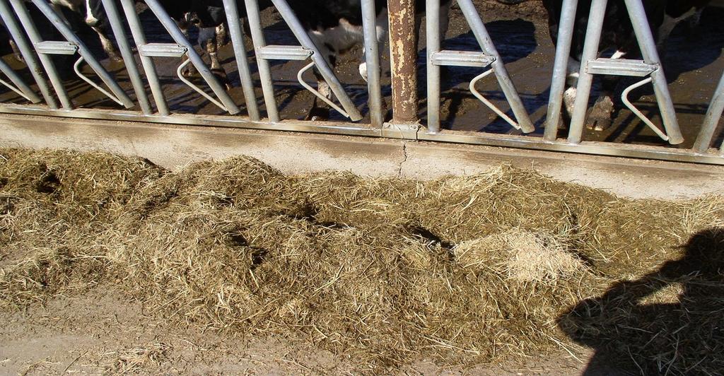 Figure 1 2006 flail chopped rice straw with a unmixed rice straw in