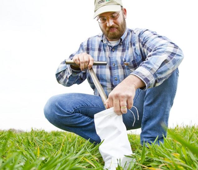 Eight Reasons To Test Your Soil Source: Frank Sikora, UK soil testing coordinator Soil testing can tell you many things about your soil that can help you make informed decisions about fertilizer