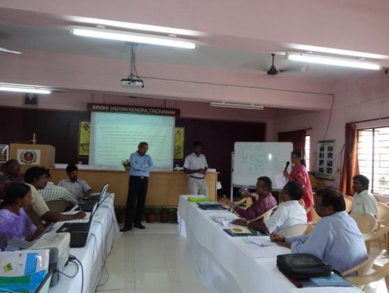 22. Experts guiding the participants on