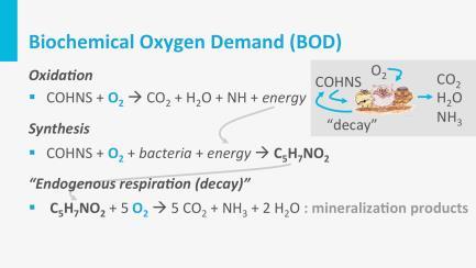 The released bio-polymers are subsequently mineralized, using again oxygen as electron acceptor. The oxygen requirement to oxidize these bacterial polymers, is called endogenous respiration.