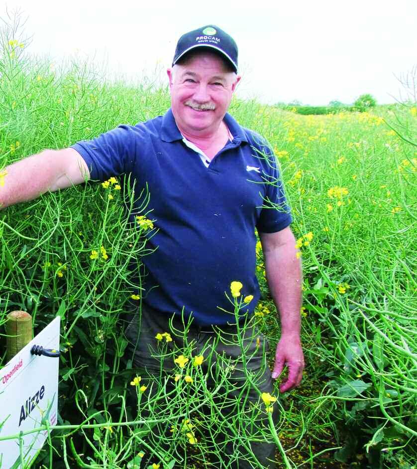 Technical While Cereals may be the Mecca for arable farmers, when it comes to impartial observations and thoughts on up and coming oilseed rape varieties, there s a farm manager in Wilts who s ahead