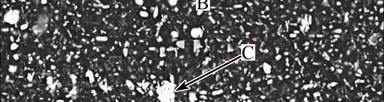 Figures 6(a), (c), (e) and (g) show optical micrographs of the specimens (Conditions 1, 3, 5 and 7), respectively. Fibrous structures are observed in Fig.