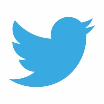 Twitter Allows you to give business update s quickly to your followers in 140 characters or less More widely used with the younger