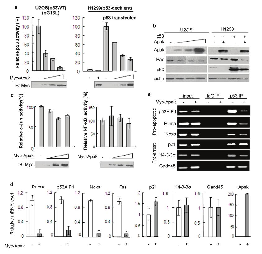 DOI: 10.1038/ncb1864 Figure S1 Apak specifically inhibits p53 transcriptional activity.