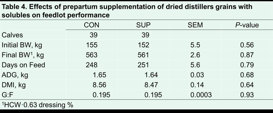 Conclusions Supplementation of 5 lbs. of DDGS resulted in increased cow average daily gain during the supplementation period.