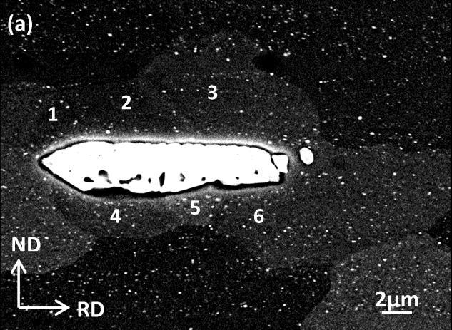 5.3.5 The role of large particles and grain boundaries in recrystallization Large particles SEM images shown in Figure 5-35 display the formation of the recrystallized grains in the vicinity of