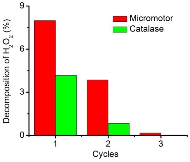 Figure S5. Decomposition percentage of 2% H 2 O 2 as a function of reaction time in the presence of micromotor device or native catalase. Figure S6.