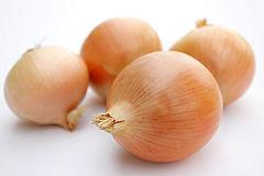 ONION (Allium cepa) Onion is one of the most important commercial vegetable crops in India. Maharastra, Gujarat, Uttra Pradesh, Orissa and Andhra Pradesh are the major onion growing states.