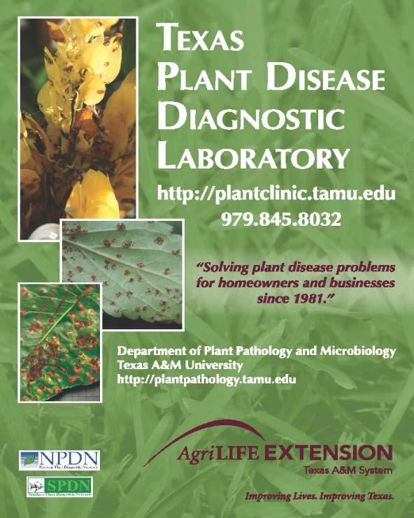 Resources More information at: o http://plantclinic.tamu.edu o http://agrilifebookstore.org o http://www.