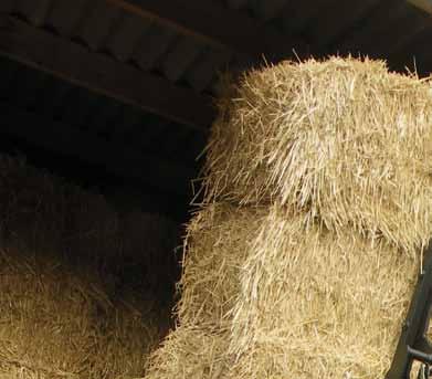 RANGE AGRicultuRE Handling solutions for straw bales Ideal for straw bales The